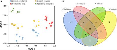 Mycorrhizal Communities and Isotope Signatures in Two Partially Mycoheterotrophic Orchids